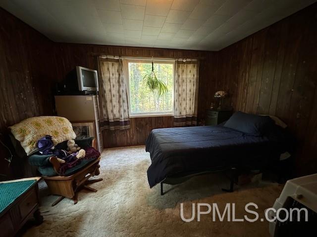 9752 County 513 T Road Rapid River, MI 49878 - Photo 10 of 24 Gallery Image 10