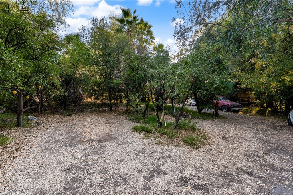 2700 Mill Creek Road Mentone, CA 92359 - Photo 10 of 22 a view of a park with large trees