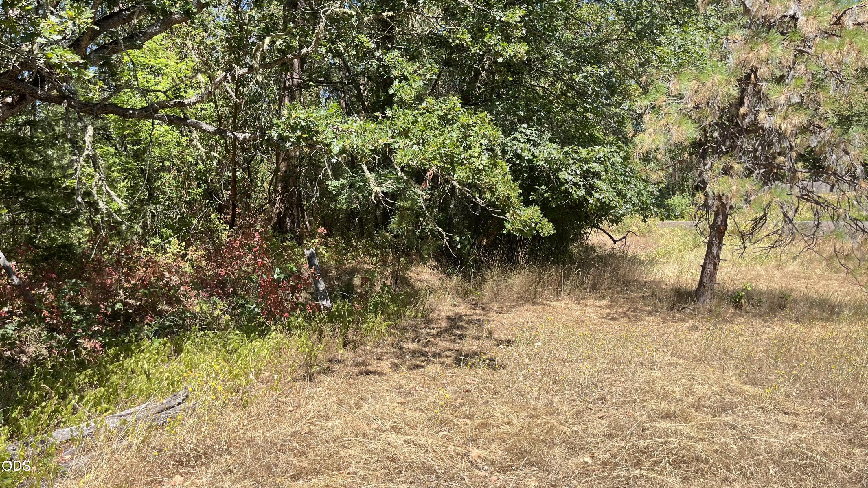 4569 Kane Creek Road Central Point, OR 97502 - Photo 21 of 21 Gallery Image 21