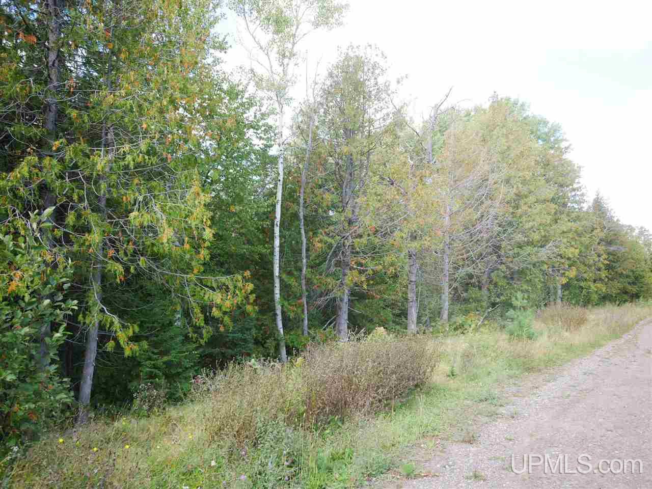 Tbd Gratiot River Road Allouez, MI 49805 - Photo 5 of 7
