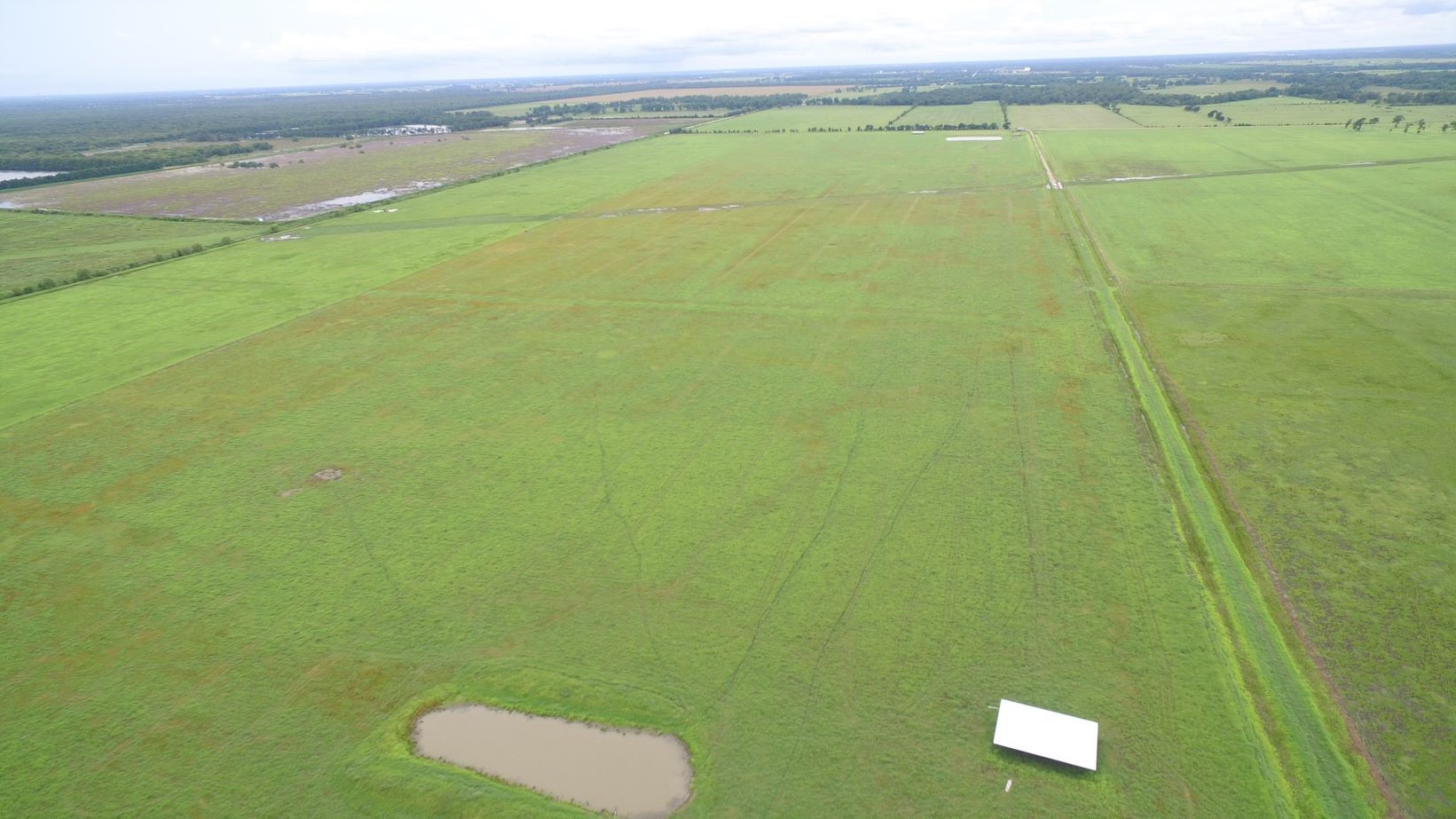4950 Donaldson Road Wharton, TX 77488 - Photo 11 of 17 improved pasture