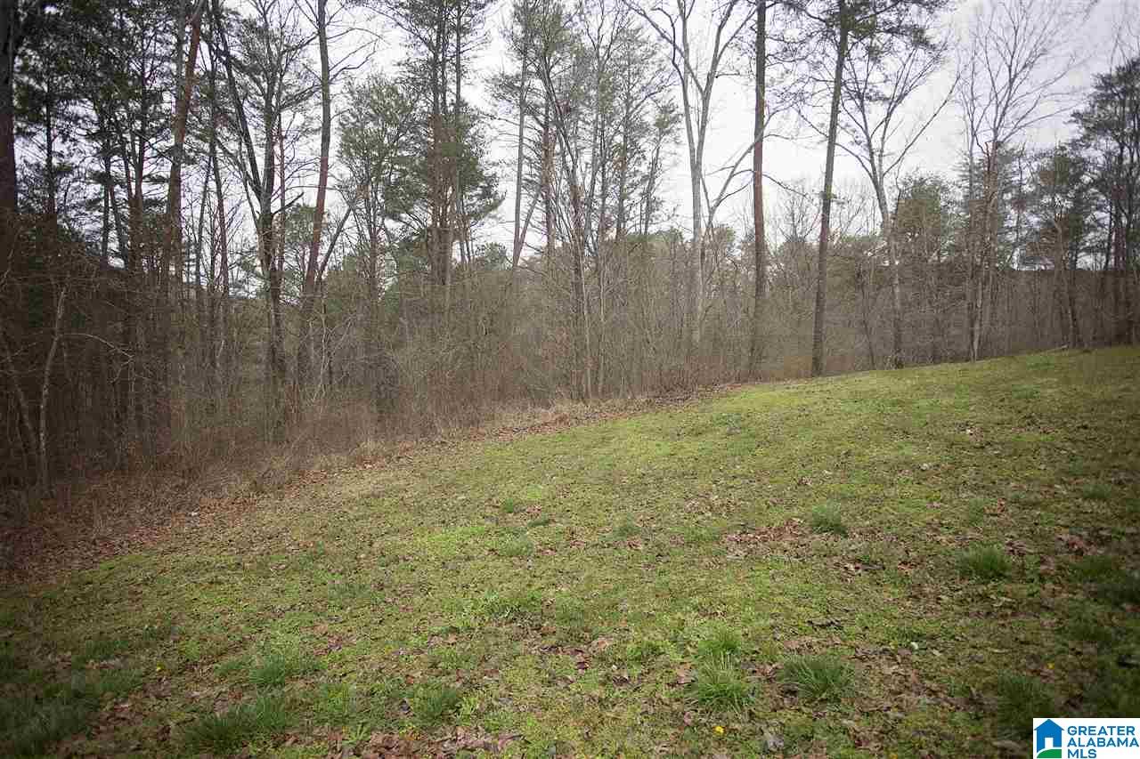 1960 Paradise Valley Road Gardendale, AL 35071 - Photo 41 of 41