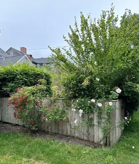 a view of city with ocean view