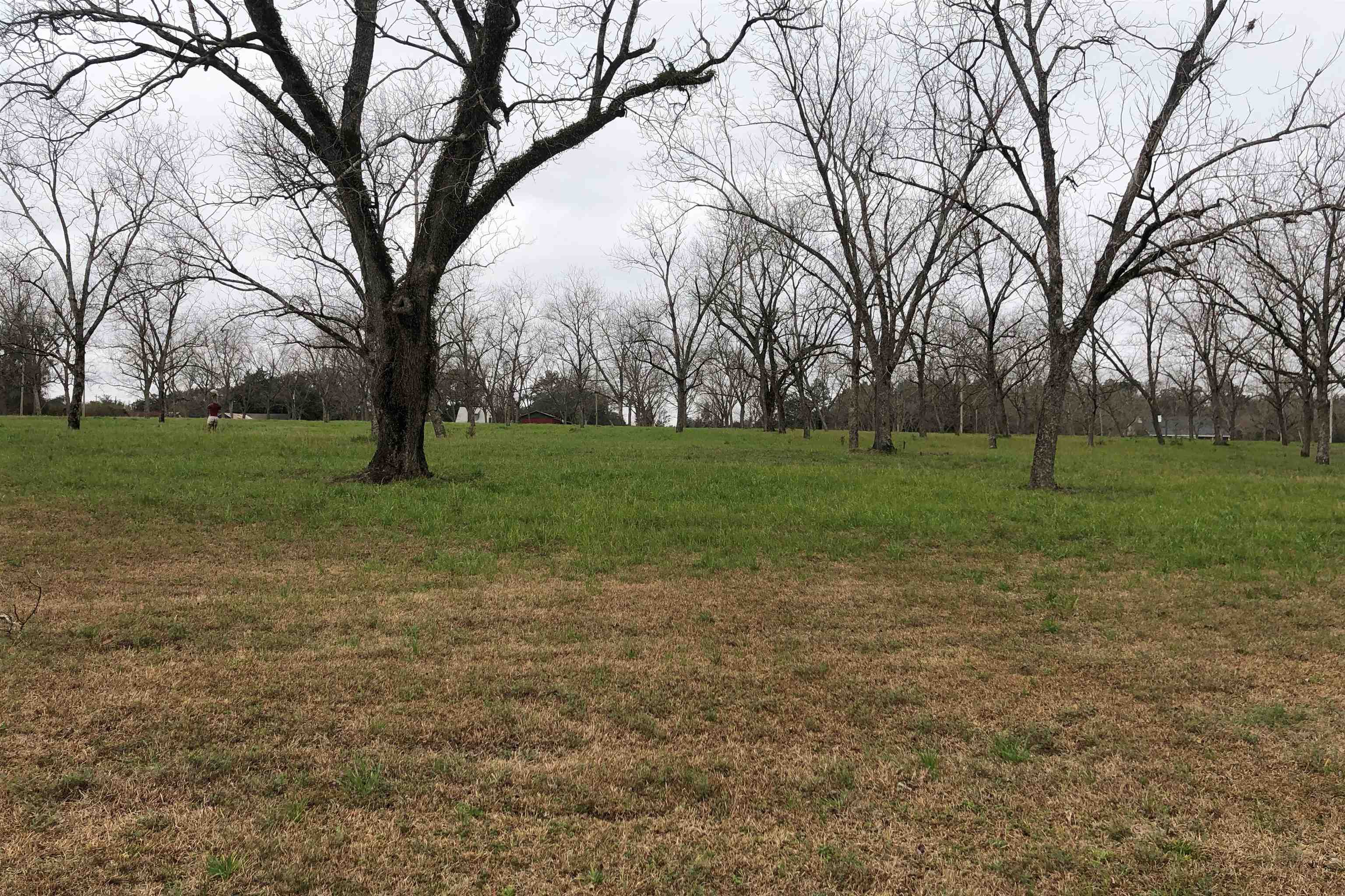 0 Nancy Loop Fairhope, AL 36532 - Photo 5 of 15 beautiful land