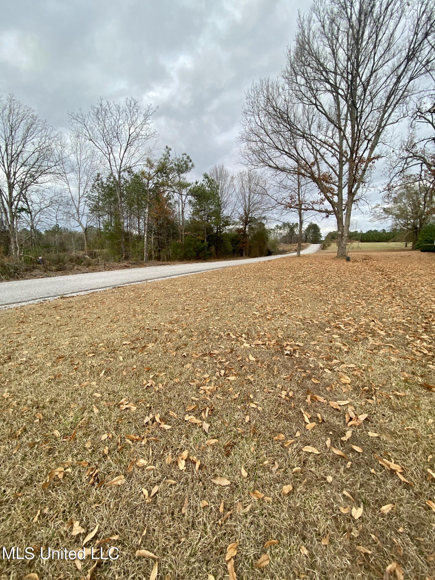 1177 Daugherty Road Carthage, MS 39051 - Photo 11 of 54 IMG_4412