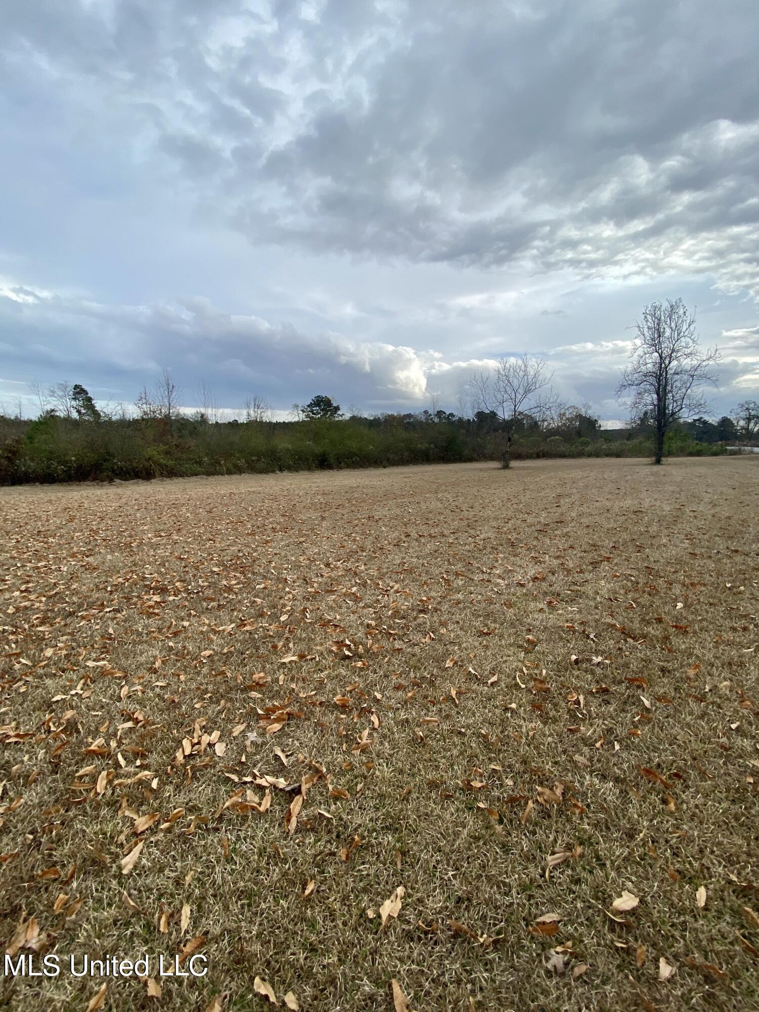 1177 Daugherty Road Carthage, MS 39051 - Photo 46 of 54 IMG_4419