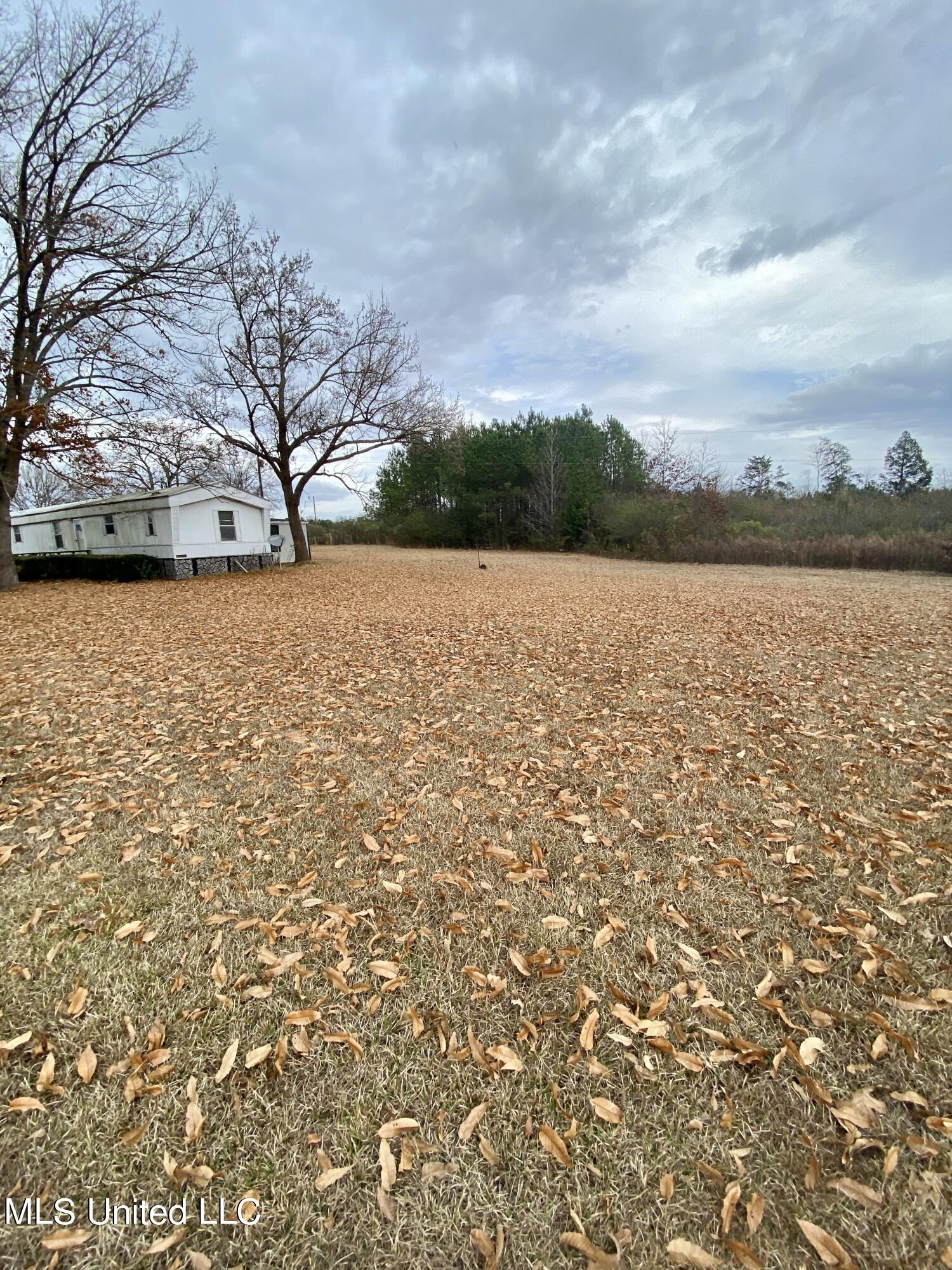 1177 Daugherty Road Carthage, MS 39051 - Photo 5 of 54 IMG_4409