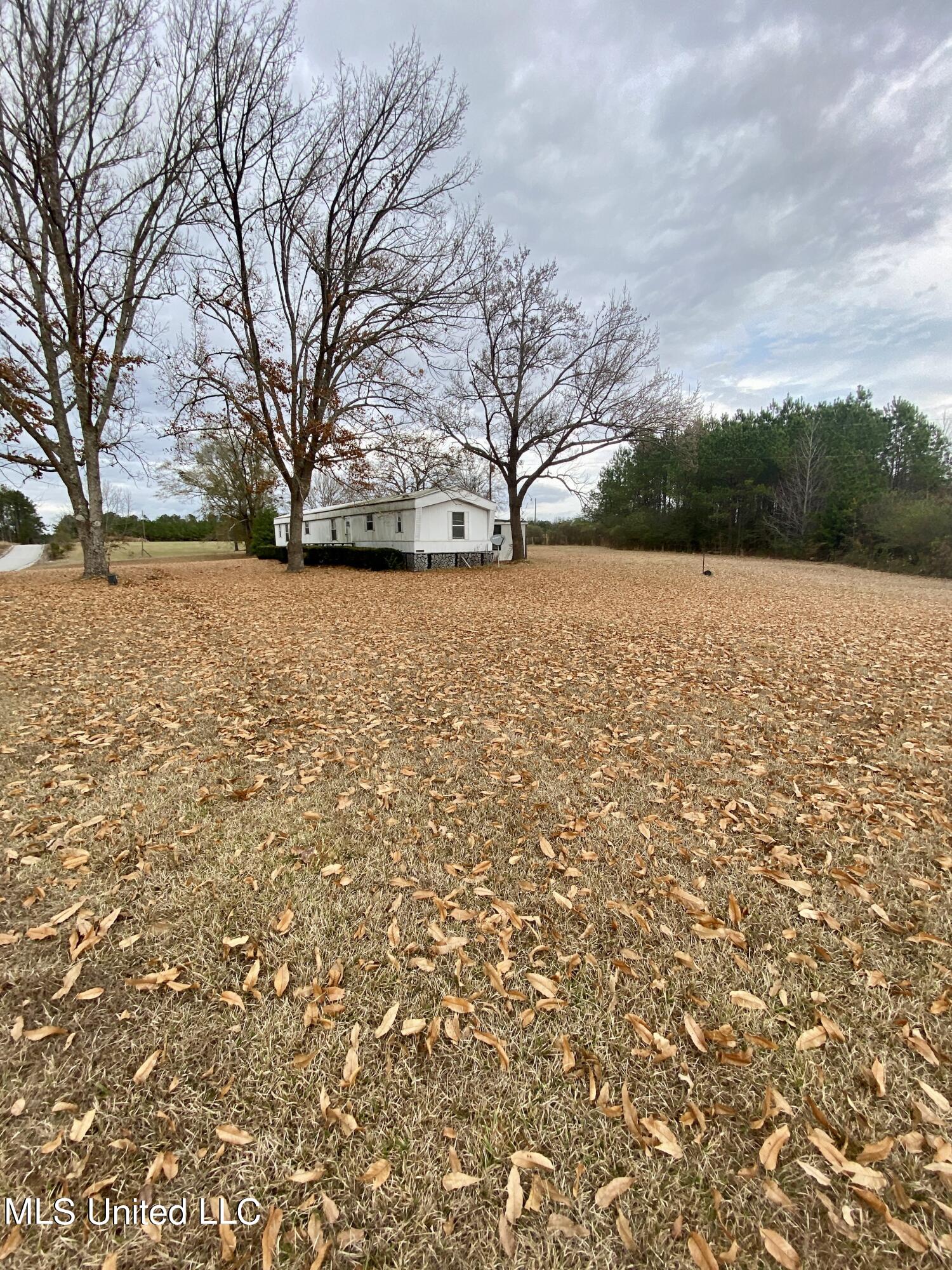 1177 Daugherty Road Carthage, MS 39051 - Photo 6 of 54 IMG_4410
