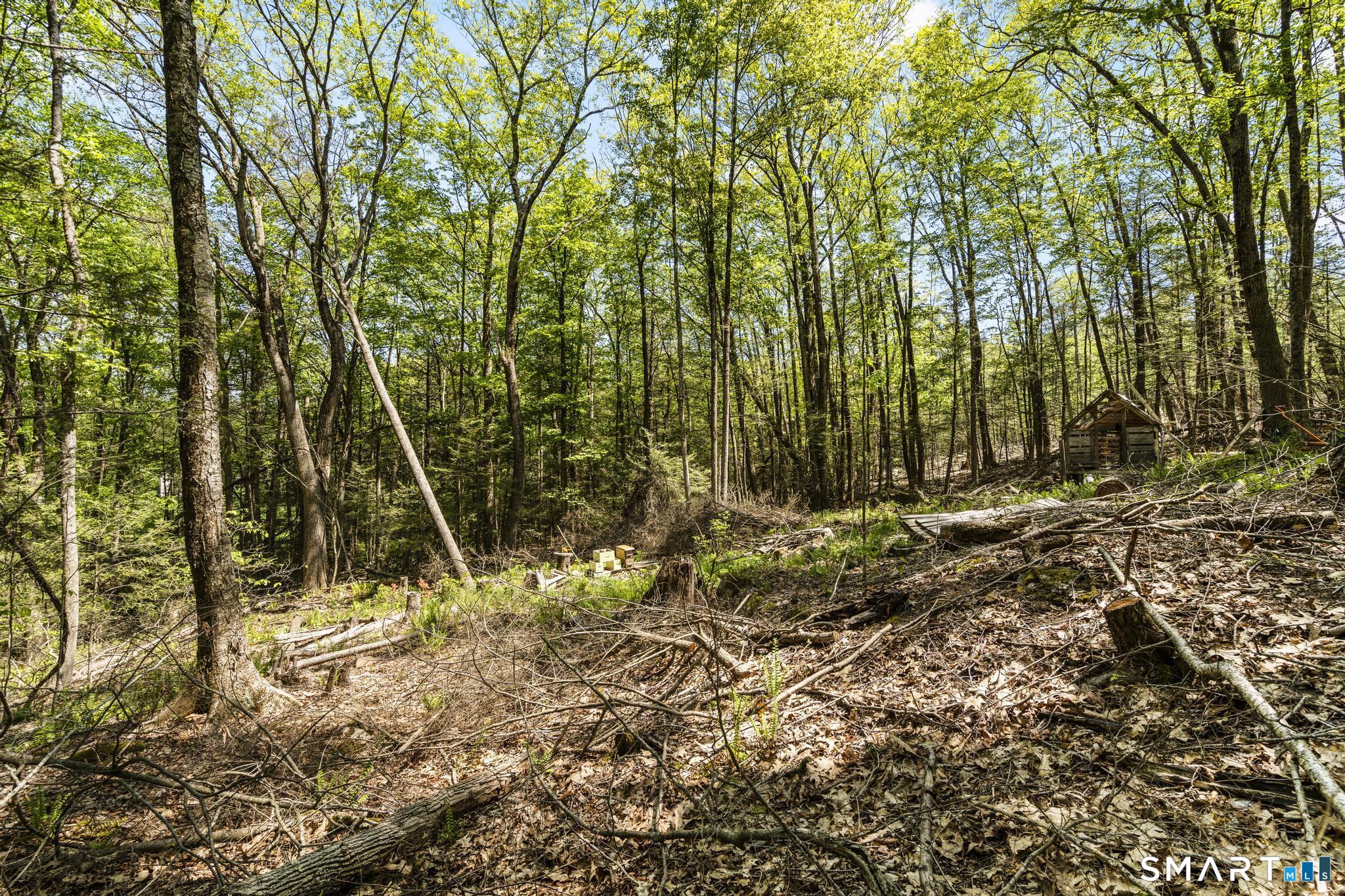 321 Colebrook Road Winchester, CT 06098 - Photo 16 of 39