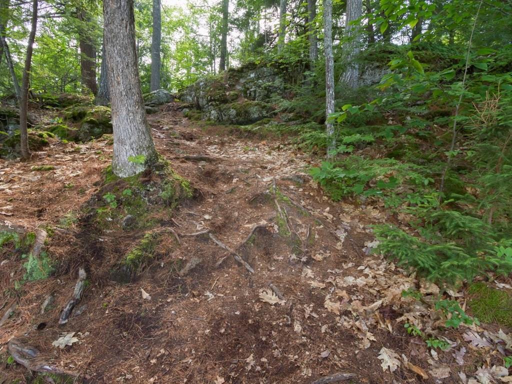 Lot 12 Gore Road Naples, ME 04055 - Photo 16 of 29 Photo