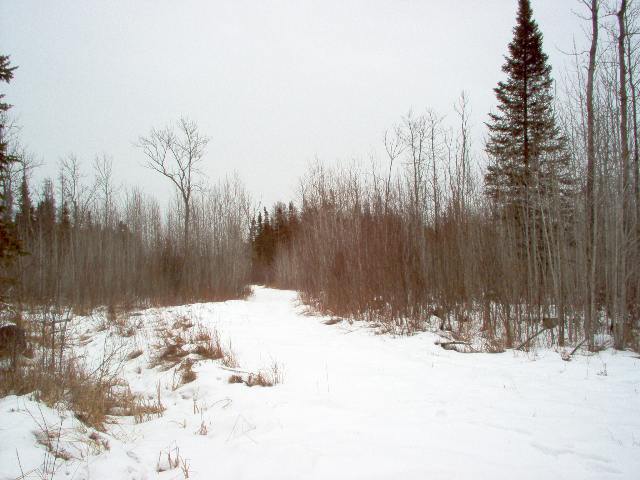 Xxx County Rd 73 Floodwood, MN 55736 - Photo 3 of 9 Gallery Image 3