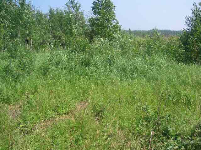 Xxx County Rd 73 Floodwood, MN 55736 - Photo 8 of 9 Gallery Image 8