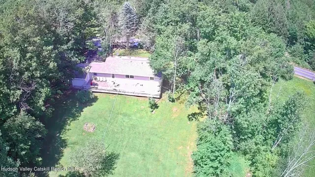 a picture of flowers