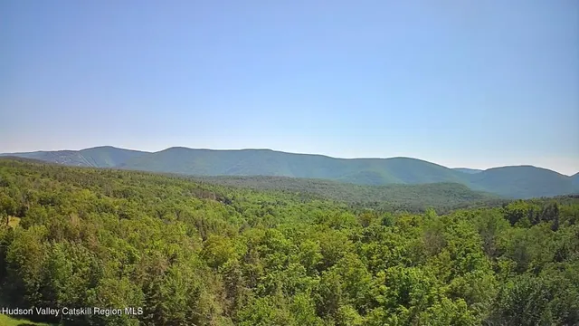 a view of a patio with table and chairs under an umbrella with a barbeque