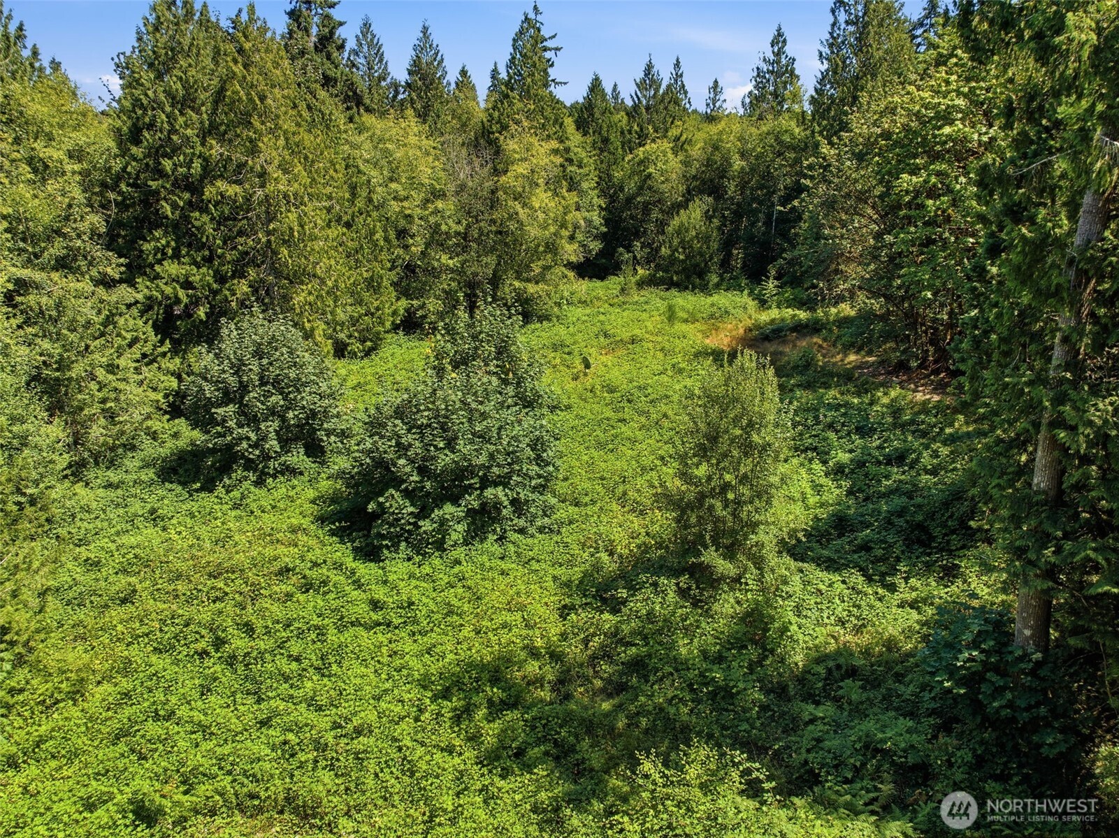 3009 Whiteman Road Southwest Lakebay, WA 98349 - Photo 17 of 19 Gallery Image 17