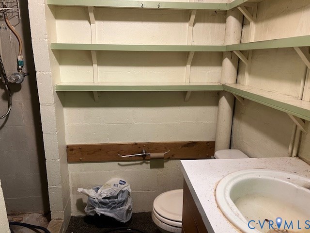 346-278 Trinity Road Keysville, VA 23947 - Photo 16 of 30 a bathroom with a toilet and a sink