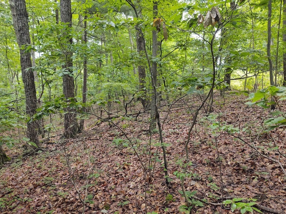 Lot 36 Middle Ridge Road, Unit 36 Hesston, PA 16647 - Photo 5 of 8 Gallery Image 5