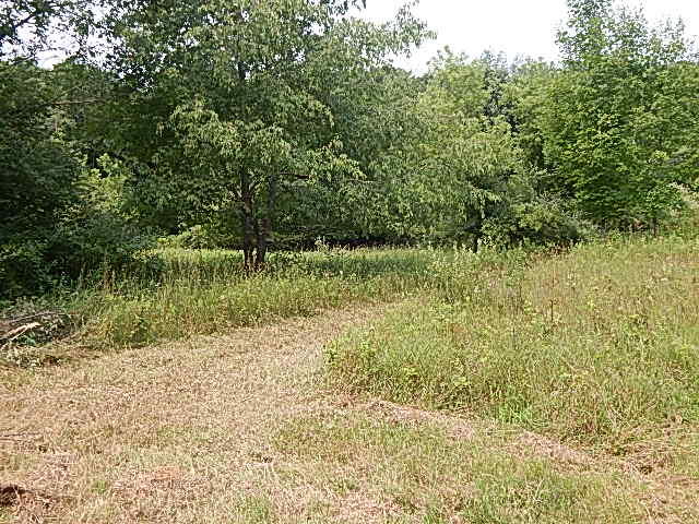 12333 Rome Road Manitou Beach, MI 49253 - Photo 12 of 36 DSCN9560