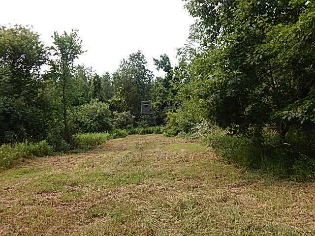12333 Rome Road Manitou Beach, MI 49253 - Photo 13 of 36 DSCN9561