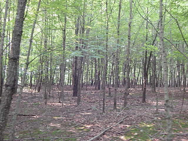12333 Rome Road Manitou Beach, MI 49253 - Photo 14 of 36 DSCN9562