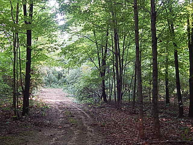 12333 Rome Road Manitou Beach, MI 49253 - Photo 15 of 36 DSCN9563