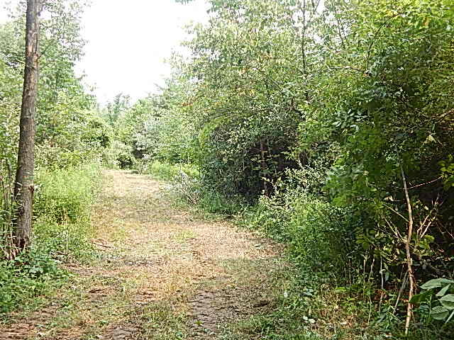12333 Rome Road Manitou Beach, MI 49253 - Photo 17 of 36 DSCN9565