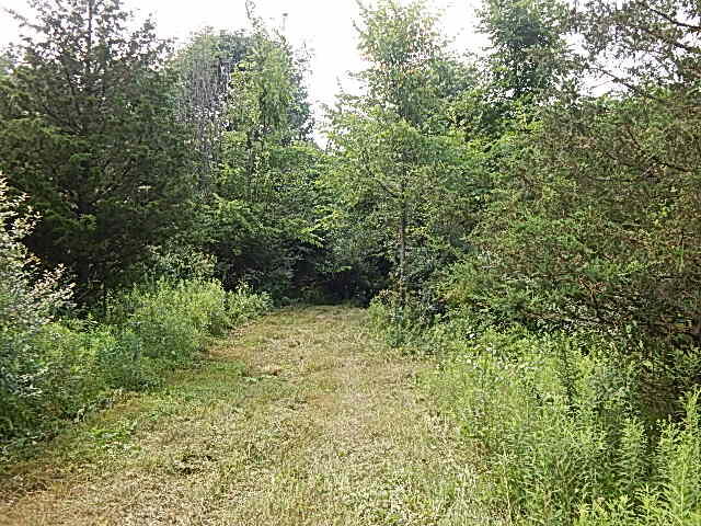 12333 Rome Road Manitou Beach, MI 49253 - Photo 18 of 36 DSCN9566