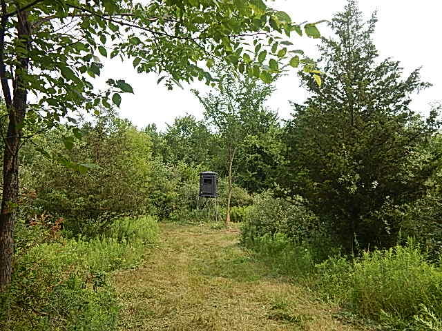 12333 Rome Road Manitou Beach, MI 49253 - Photo 19 of 36 DSCN9567