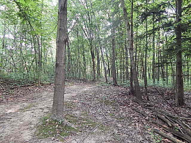 12333 Rome Road Manitou Beach, MI 49253 - Photo 20 of 36 DSCN9568