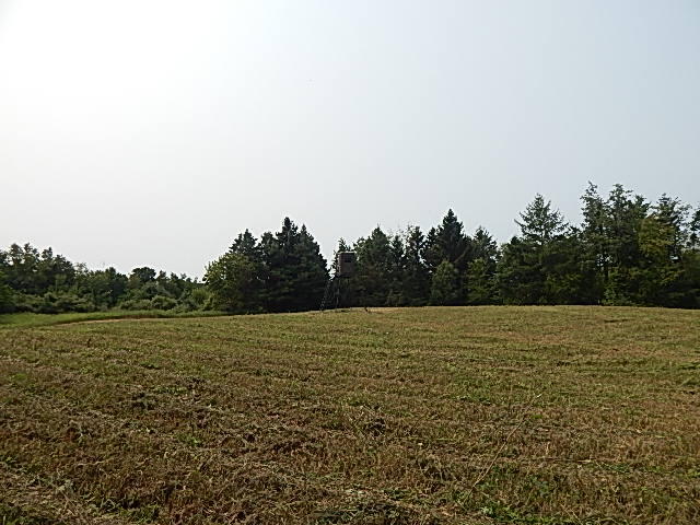 12333 Rome Road Manitou Beach, MI 49253 - Photo 2 of 36 DSCN9549
