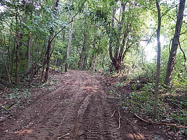 12333 Rome Road Manitou Beach, MI 49253 - Photo 21 of 36 DSCN9569