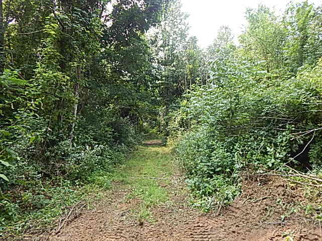 12333 Rome Road Manitou Beach, MI 49253 - Photo 22 of 36 DSCN9570
