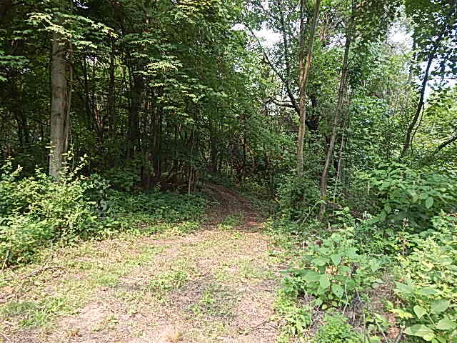 12333 Rome Road Manitou Beach, MI 49253 - Photo 23 of 36 DSCN9571