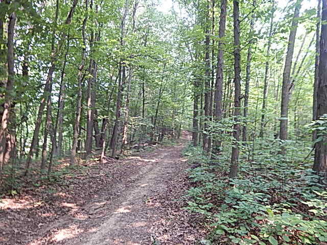 12333 Rome Road Manitou Beach, MI 49253 - Photo 24 of 36 DSCN9572