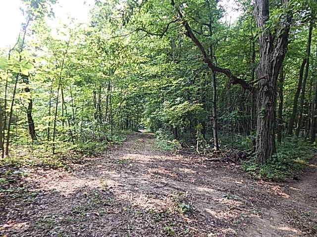 12333 Rome Road Manitou Beach, MI 49253 - Photo 25 of 36 DSCN9573