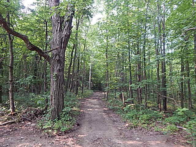 12333 Rome Road Manitou Beach, MI 49253 - Photo 26 of 36 DSCN9574