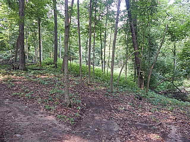 12333 Rome Road Manitou Beach, MI 49253 - Photo 27 of 36 DSCN9576
