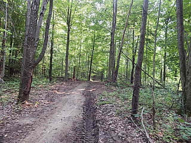12333 Rome Road Manitou Beach, MI 49253 - Photo 28 of 36 DSCN9577