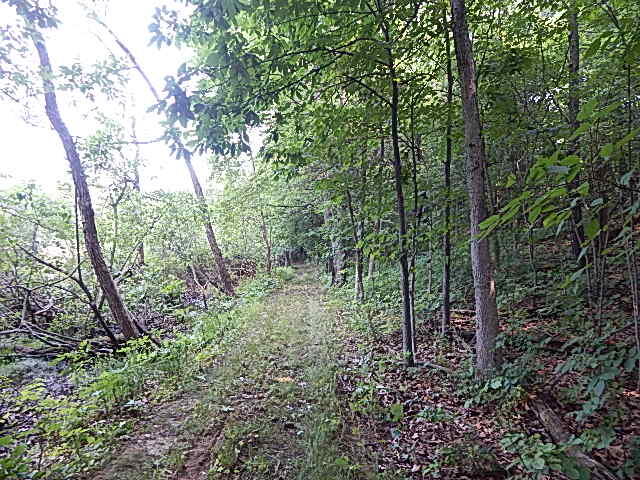 12333 Rome Road Manitou Beach, MI 49253 - Photo 29 of 36 DSCN9578