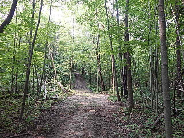 12333 Rome Road Manitou Beach, MI 49253 - Photo 30 of 36 DSCN9579
