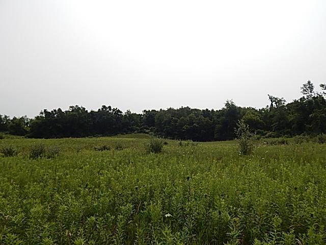 12333 Rome Road Manitou Beach, MI 49253 - Photo 32 of 36 DSCN9582
