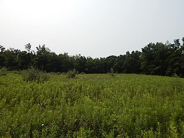 12333 Rome Road Manitou Beach, MI 49253 - Photo 33 of 36 DSCN9583