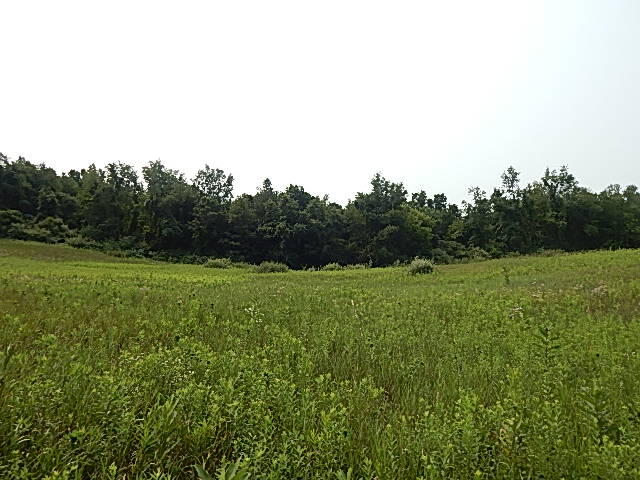 12333 Rome Road Manitou Beach, MI 49253 - Photo 34 of 36 DSCN9584