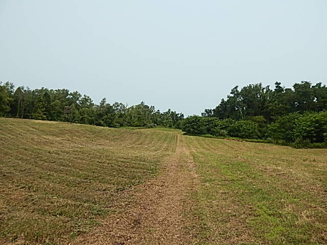 12333 Rome Road Manitou Beach, MI 49253 - Photo 36 of 36 DSCN9586