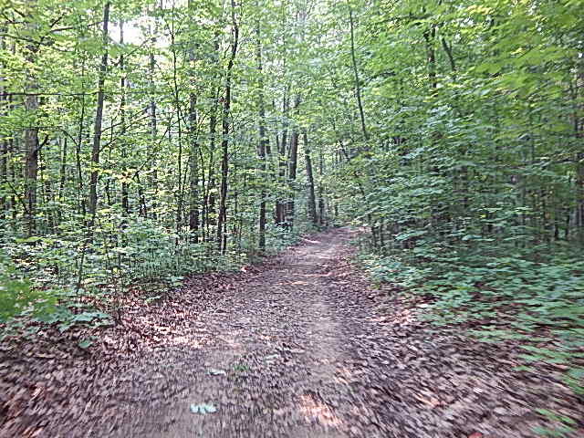 12333 Rome Road Manitou Beach, MI 49253 - Photo 4 of 36 DSCN9551