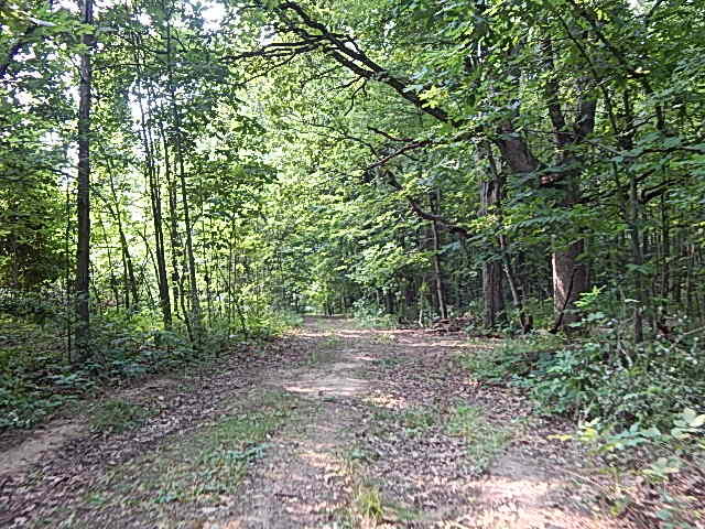 12333 Rome Road Manitou Beach, MI 49253 - Photo 6 of 36 DSCN9553