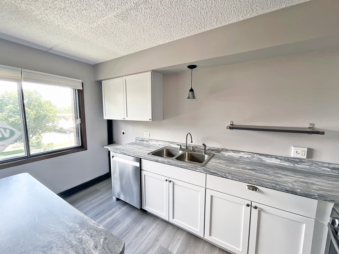 4946 Douglas Road, Unit 202 Downers Grove, IL 60515 - Photo 7 of 19 a kitchen with a sink cabinets and window
