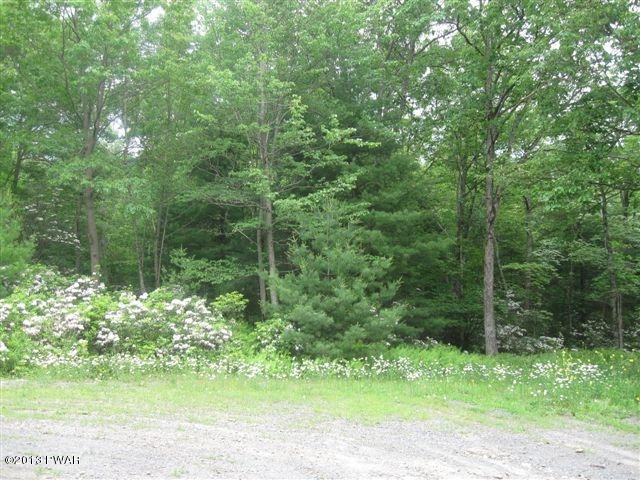 10 Ridge View Road Hawley, PA 18428 - Photo 1 of 4