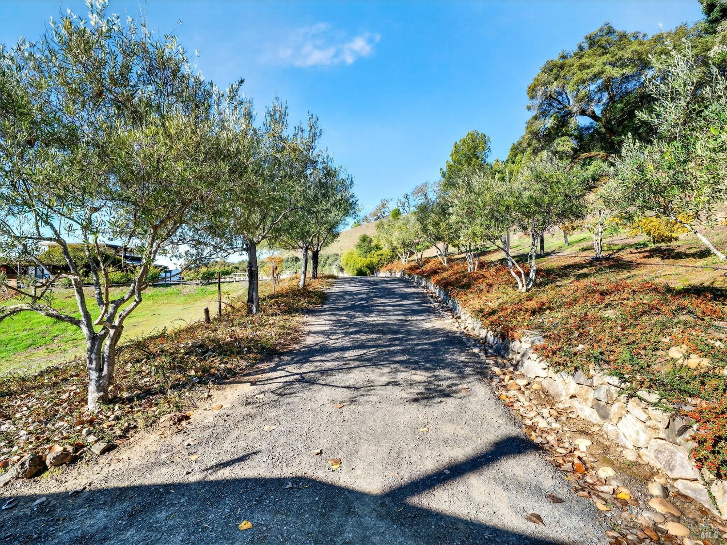 17350 Deer Meadows Road Boonville, CA 95415 - Photo 5 of 65