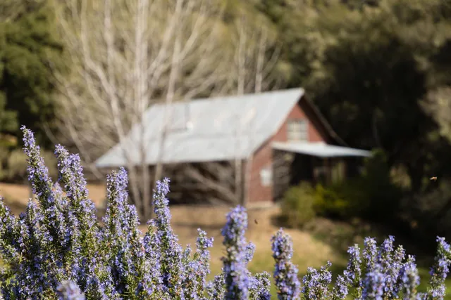 $2,500,000 | 17350 Deer Meadows Road, Boonville, CA 95415